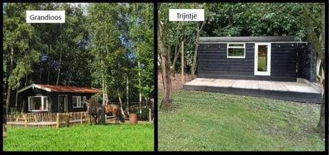 Property building, Day, Garden