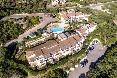 Day, Bird's eye view, Swimming pool