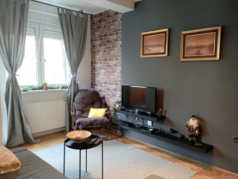 Sun Center Apartment Apartment in Novi Sad