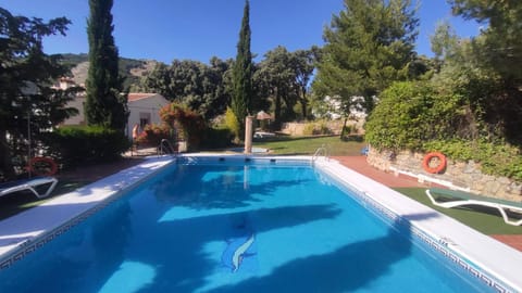 Swimming pool, Swimming pool