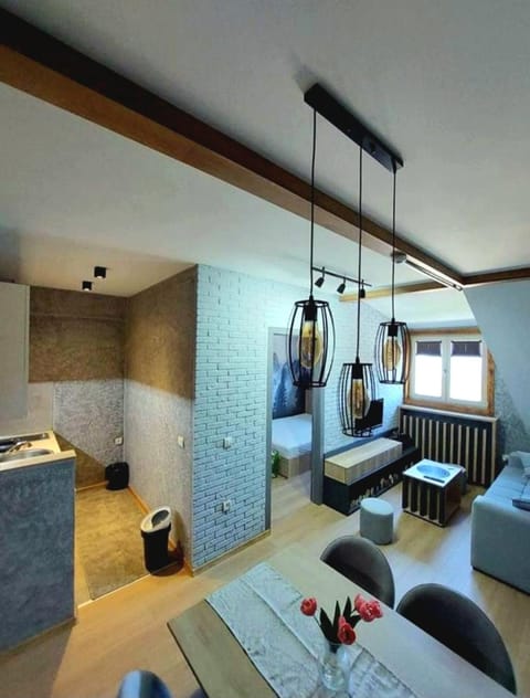 VS Apartman , Hotel Župa Kopaonik Apartment in Serbia