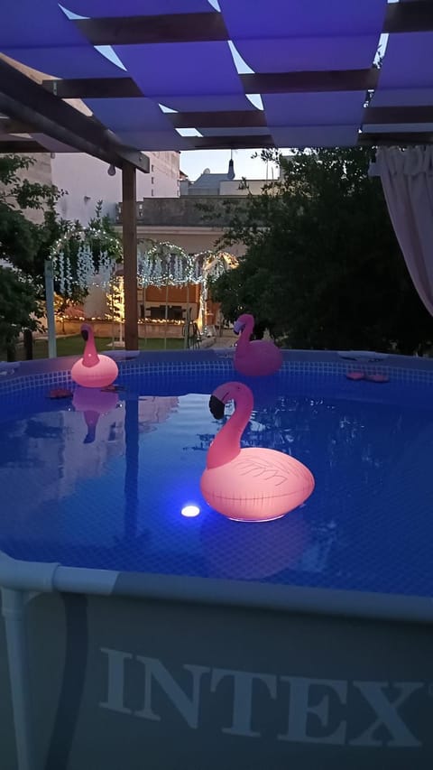 Night, Garden, Pool view, Swimming pool