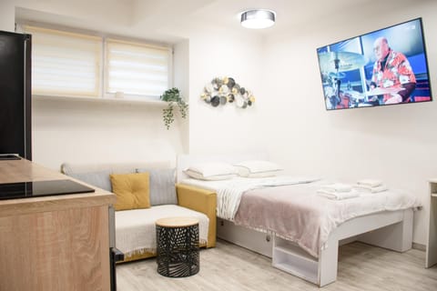 Bed, TV and multimedia, Kitchen or kitchenette, Photo of the whole room, Bedroom, towels