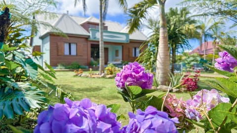 Property building, Natural landscape, Garden, Garden view