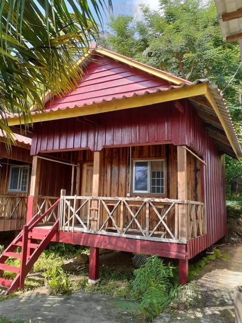 Property building, Garden, Garden view