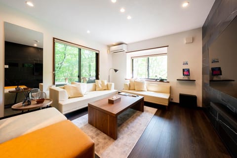 Living room, Photo of the whole room, air conditioner