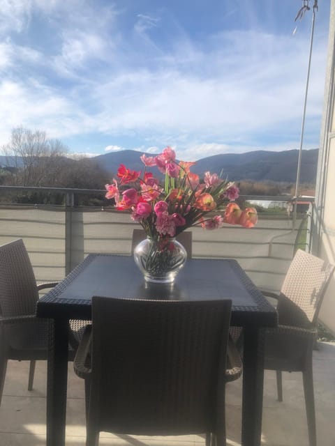 Marinella House Apartment in Sarzana