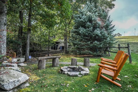 Alpine Adventure House in McHenry