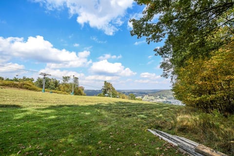 Alpine Adventure House in McHenry