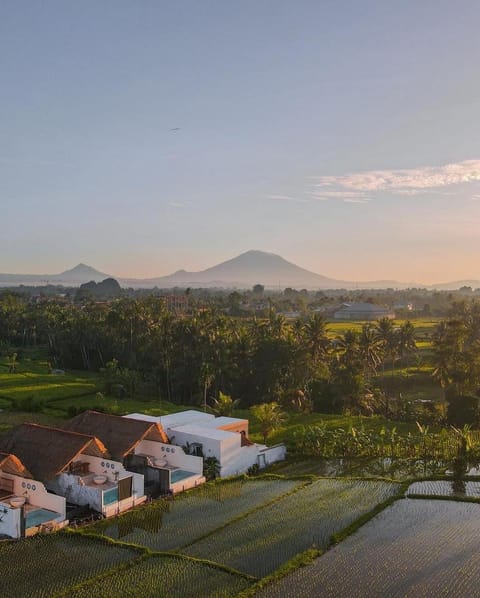 Woywoy Escape Samu (Adults Only) Nature lodge in Abiansemal