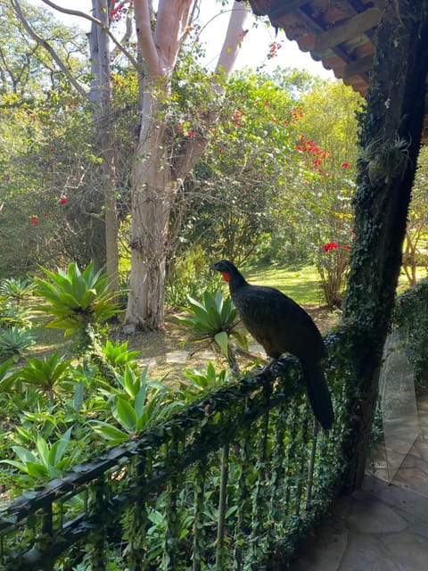 Pousada Flor de Íris Bed and Breakfast in State of Rio de Janeiro