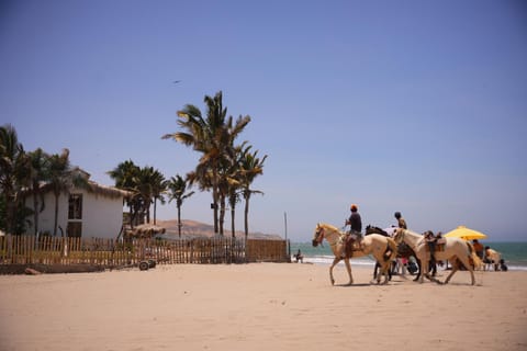 Day, People, Natural landscape, Horse-riding, group of guests
