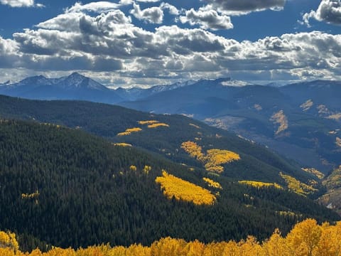 Beaver Creek 2 Bed 2 Bath Condo 1 MIN Walk to Elk Lot House in Avon