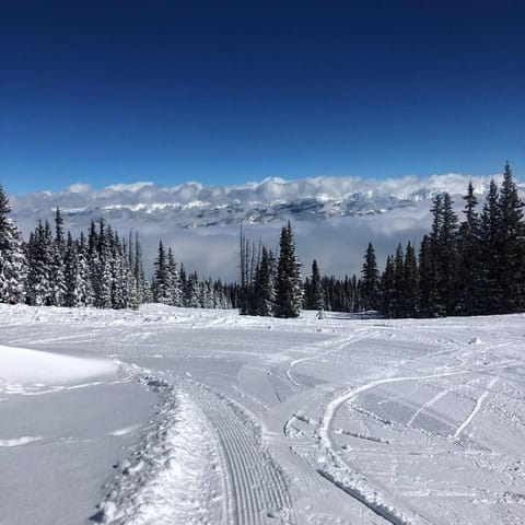 Beaver Creek 2 Bed 2 Bath Condo 1 MIN Walk to Elk Lot House in Avon