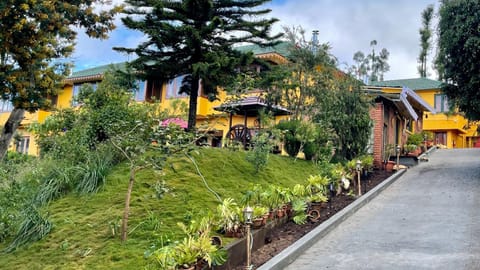 Property building, Restaurant/places to eat, Food and drinks, Mountain view, Continental breakfast, Parking