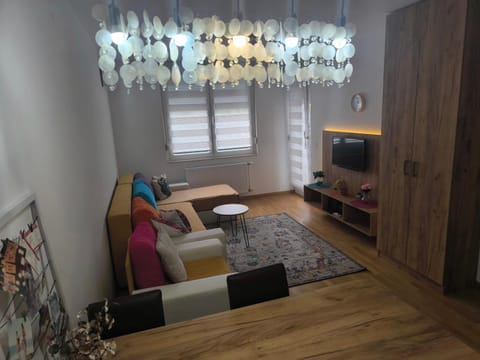 Riverside Ferona apartment with garage Apartment in Novi Sad