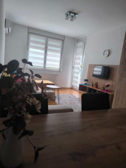 Riverside Ferona apartment with garage Apartment in Novi Sad