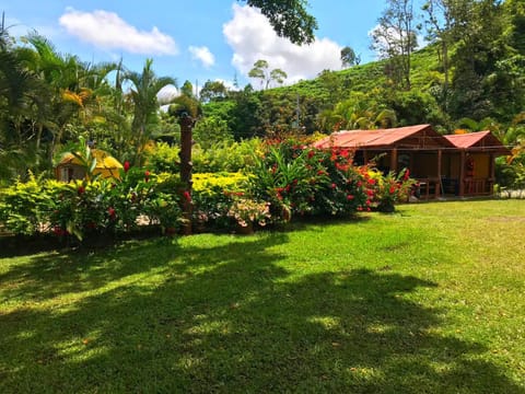 Day, Natural landscape, Garden, Garden view