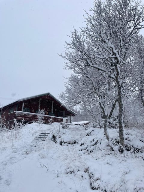 Day, Natural landscape, Winter