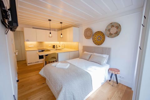 Bed, TV and multimedia, Kitchen or kitchenette, Photo of the whole room, Bedroom, minibar, pet friendly, stove