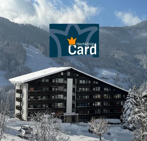 Alpendomizil Apfel Apartment in Salzburgerland