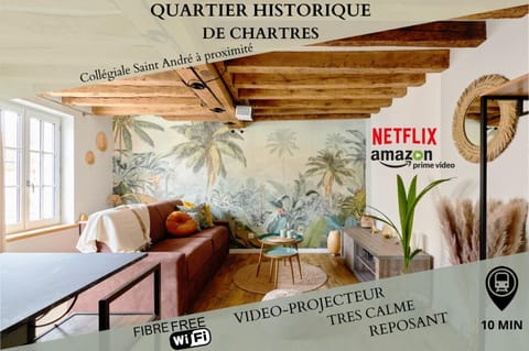 Le Petit Collégiale Saint André Apartment in Chartres
