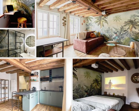 Le Petit Collégiale Saint André Apartment in Chartres