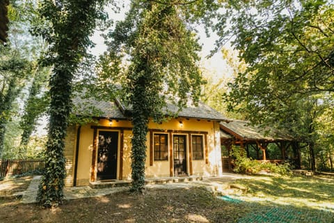 Forest House House in Vojvodina
