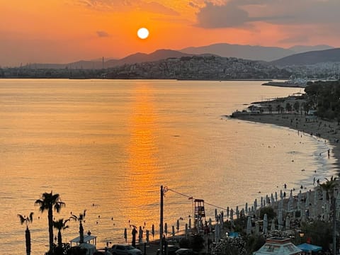 Beach, Sea view, Sunset