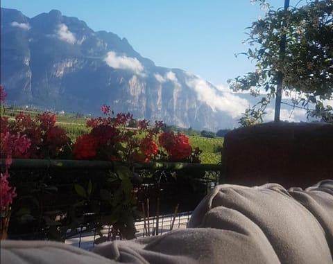 Alloggio con idromassaggio e super vista Apartment in Trentino-South Tyrol