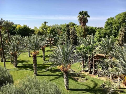 Garden view