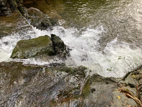 Snowdonia Holiday Lodges House in Wales