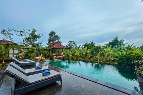 Patio, Day, Natural landscape, Garden, Swimming pool, sunbed