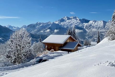 Chalet "Lucyvon" exceptional view Chalet in Manigod
