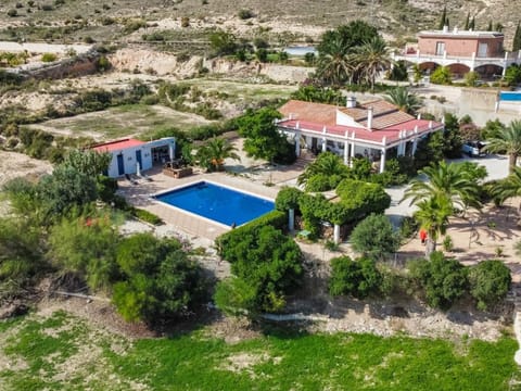 Property building, Day, Natural landscape, Bird's eye view, Garden, Garden view, Pool view, Swimming pool, sunbed