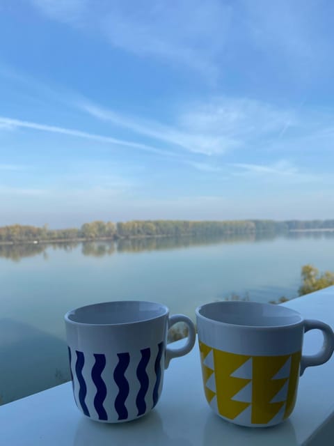 Danube Apartment in Vojvodina