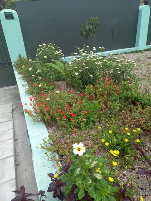 Spring, Garden, Garden view