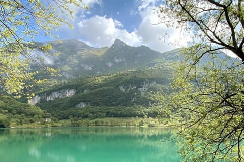Natural landscape