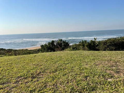 Garden, Beach