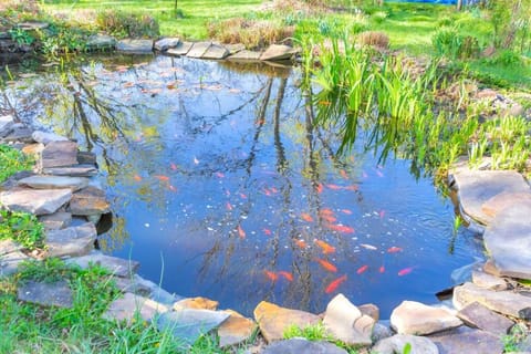 Huge Farmhouse with Heated Pool for Vacations and Retreats House in Massies Mill