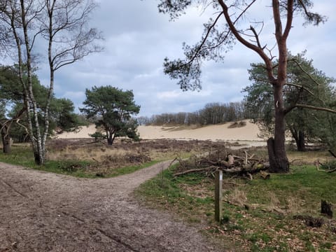 Day, Natural landscape