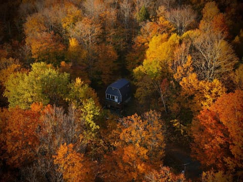 Day, Natural landscape, Bird's eye view