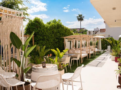 Day, Garden, Balcony/Terrace