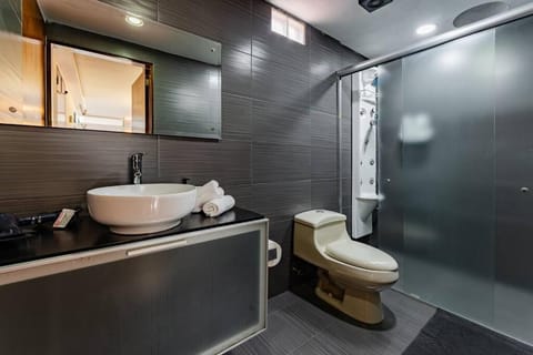 Stylish apartment with private roof top & jacuzzi Apartment in Mexico City