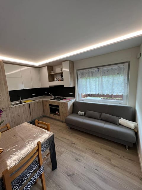Kitchen or kitchenette, Living room, Dining area, pet friendly, stove