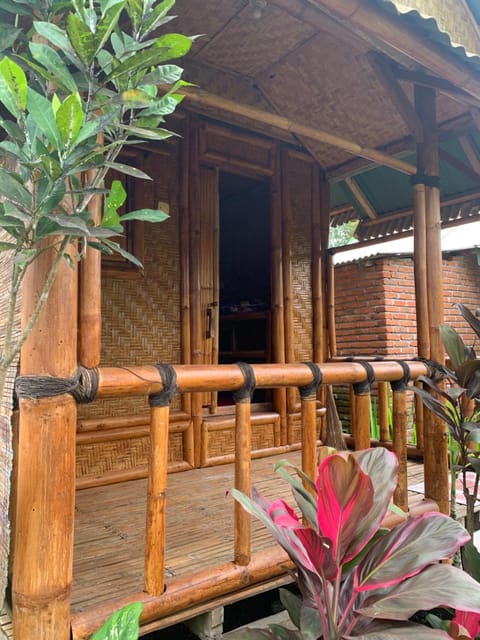 Patio, Balcony/Terrace