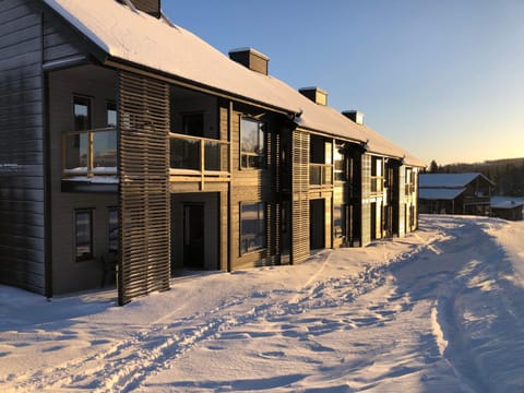 Property building, Facade/entrance, Winter, Mountain view