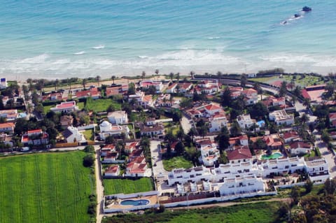 Day, Bird's eye view