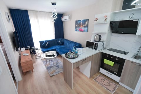 Kitchen or kitchenette, Living room, Seating area