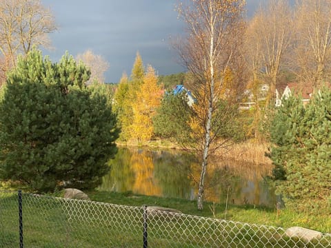 Natural landscape, Garden, Lake view